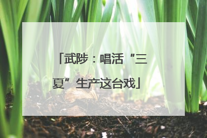 武陟：唱活“三夏”生产这台戏
