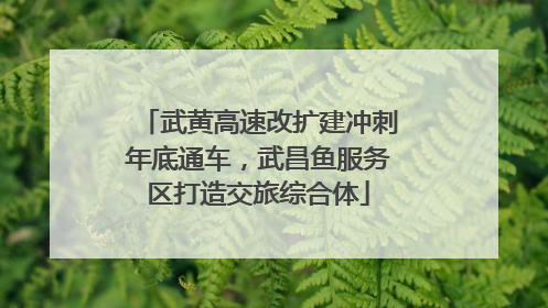武黄高速改扩建冲刺年底通车，武昌鱼服务区打造交旅综合体