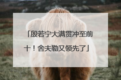 殷若宁大满贯冲至前十！舍夫勒又领先了