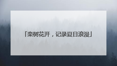 栾树花开，记录夏日浪漫