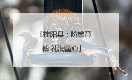 桂阳县：阶梯育德 礼润童心