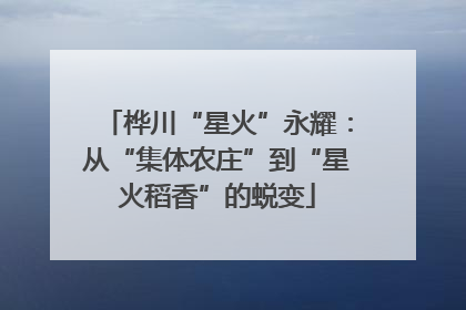 桦川“星火”永耀：从“集体农庄”到“星火稻香”的蜕变