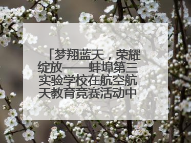 梦翔蓝天，荣耀绽放——蚌埠第三实验学校在航空航天教育竞赛活动中大放异彩