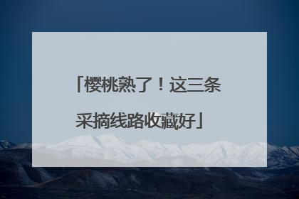 樱桃熟了！这三条采摘线路收藏好