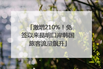 激增210%！免签以来昆明口岸韩国旅客流量飙升