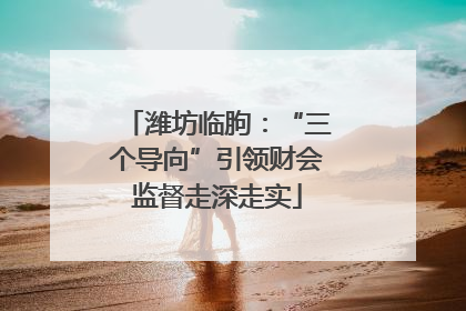 潍坊临朐：“三个导向”引领财会监督走深走实