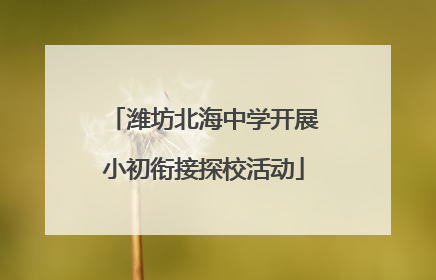 潍坊北海中学开展小初衔接探校活动