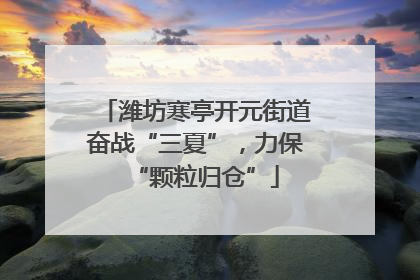 潍坊寒亭开元街道奋战“三夏”，力保“颗粒归仓”