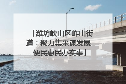 潍坊峡山区岞山街道：聚力集采谋发展 便民惠民办实事