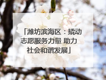 潍坊滨海区：撬动志愿服务力量 助力社会和谐发展