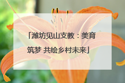 潍坊见山支教：美育筑梦 共绘乡村未来