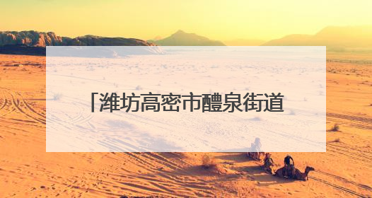 潍坊高密市醴泉街道探索“智慧医养进社区” 托起幸福晚年