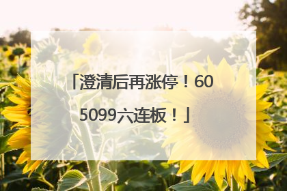 澄清后再涨停！605099六连板！