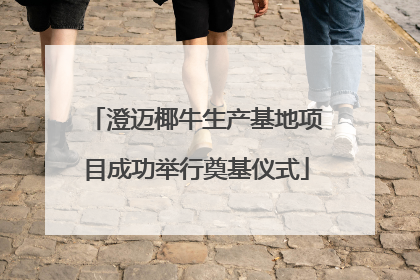 澄迈椰牛生产基地项目成功举行奠基仪式