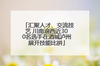 汇聚人才、交流技艺 川南渝西近300名选手在酒城泸州展开技能比拼