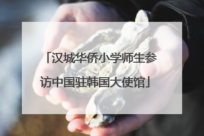 汉城华侨小学师生参访中国驻韩国大使馆