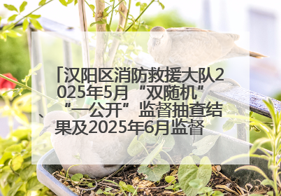 汉阳区消防救援大队2025年5月“双随机”、“一公开”监督抽查结果及2025年6月监督抽查任务公示