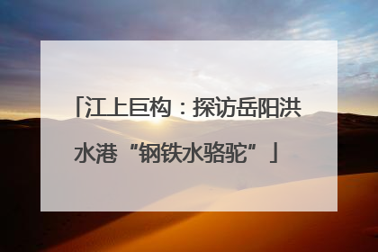 江上巨构：探访岳阳洪水港“钢铁水骆驼”