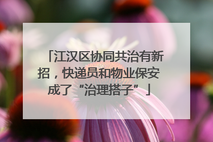 江汉区协同共治有新招，快递员和物业保安成了“治理搭子”