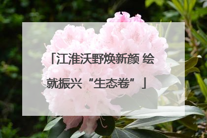 江淮沃野焕新颜 绘就振兴“生态卷”