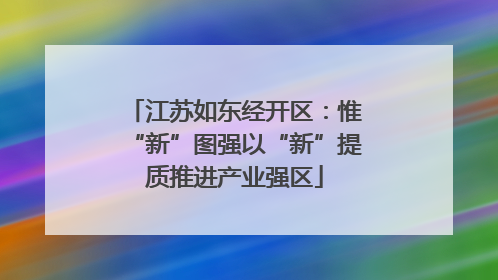 江苏如东经开区：惟“新”图强以“新”提质推进产业强区