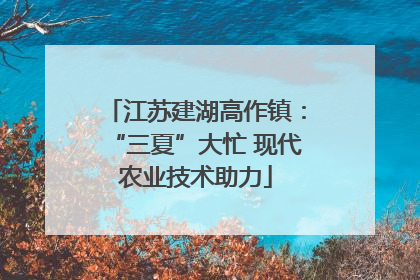 江苏建湖高作镇：“三夏”大忙 现代农业技术助力