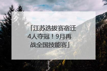 江苏选拔赛宿迁4人夺冠！9月再战全国技能赛
