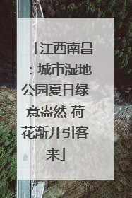 江西南昌：城市湿地公园夏日绿意盎然 荷花渐开引客来