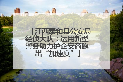 江西泰和县公安局经侦大队：运用新型警务助力护企安商跑出“加速度”