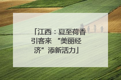 江西：夏至荷香引客来 “美丽经济”添新活力