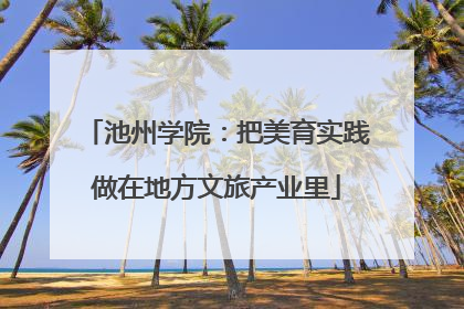 池州学院：把美育实践做在地方文旅产业里