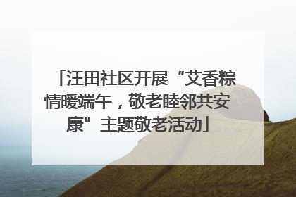 汪田社区开展“艾香粽情暖端午，敬老睦邻共安康”主题敬老活动