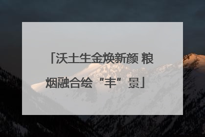 沃土生金焕新颜 粮烟融合绘“丰”景