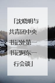 沈晓明与共青团中央书记处第一书记阿东一行会谈