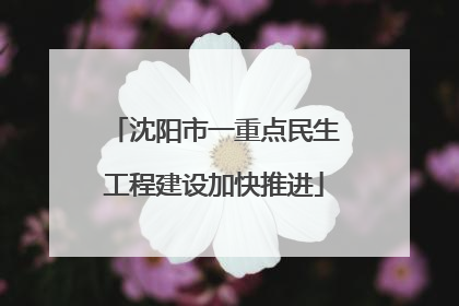 沈阳市一重点民生工程建设加快推进