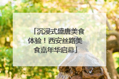 沉浸式盛唐美食体验！西安丝路美食嘉年华启幕