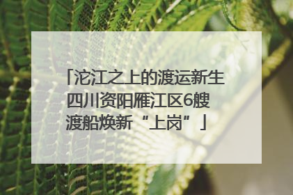 沱江之上的渡运新生 四川资阳雁江区6艘渡船焕新“上岗”