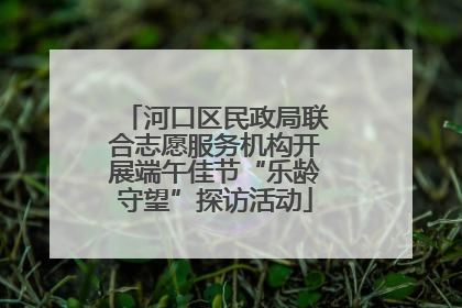 河口区民政局联合志愿服务机构开展端午佳节“乐龄守望”探访活动