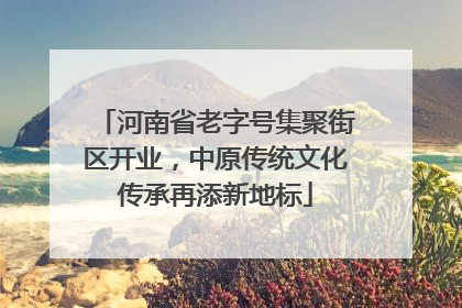 河南省老字号集聚街区开业，中原传统文化传承再添新地标