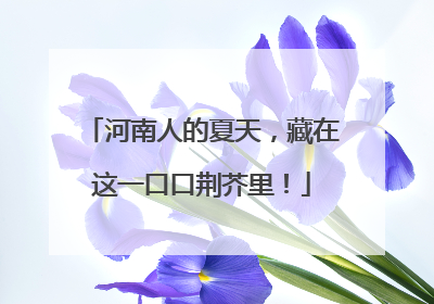 河南人的夏天，藏在这一口口荆芥里！