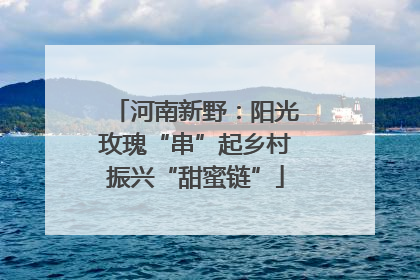 河南新野：阳光玫瑰“串”起乡村振兴“甜蜜链”