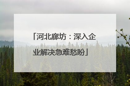 河北廊坊：深入企业解决急难愁盼