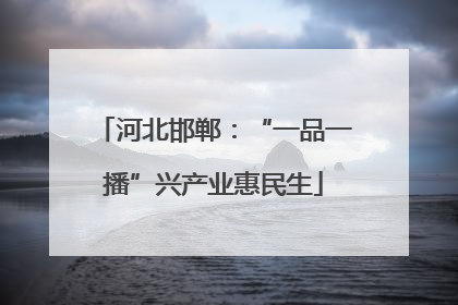 河北邯郸：“一品一播”兴产业惠民生