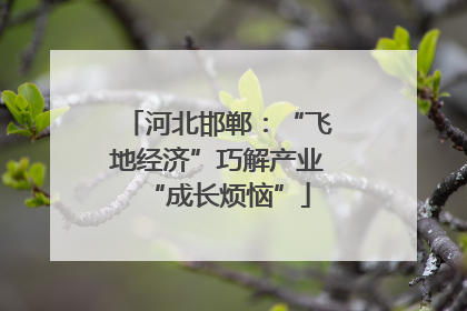 河北邯郸：“飞地经济”巧解产业“成长烦恼”
