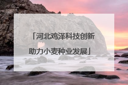 河北鸡泽科技创新助力小麦种业发展