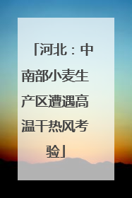 河北：中南部小麦生产区遭遇高温干热风考验