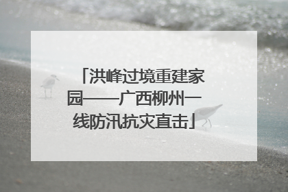 洪峰过境重建家园——广西柳州一线防汛抗灾直击