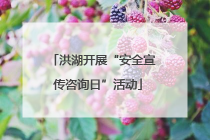 洪湖开展“安全宣传咨询日”活动