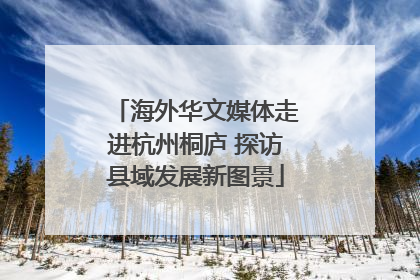 海外华文媒体走进杭州桐庐 探访县域发展新图景