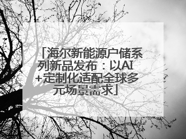 海尔新能源户储系列新品发布：以AI+定制化适配全球多元场景需求